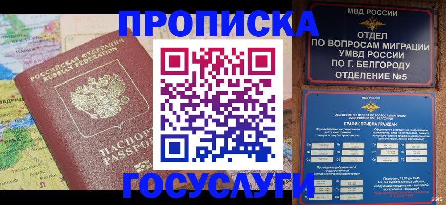 прописка регистрация в Сольцах